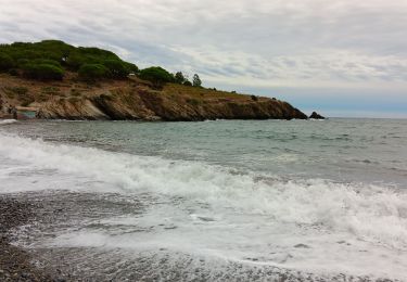 Tour Wandern Port-Vendres - anse des paulliles - cap bear via les vignes retour par le chemin côtier - Photo