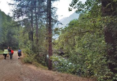 Trail Walking Vallouise-Pelvoux - vallouise cascade la pissette - Photo