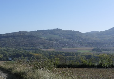 Tocht Stappen Le Cendre - Le Cendre - Photo