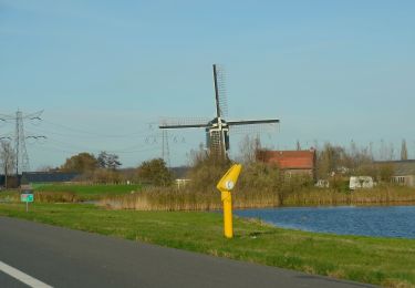Trail On foot Stichtse Vecht - Angstelroute - Photo