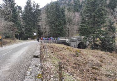 Trail Walking Sewen - Lac d'Alfeld  - Photo