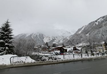 Excursión Senderismo Chamonix-Mont-Blanc - ARGENTIÈRE... par la rive droite de l'Arve.  - Photo