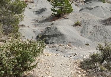 Tour Wandern Châteauneuf-Val-Saint-Donat - chabanns - Photo