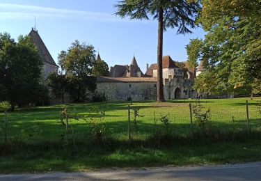 Randonnée Marche Ribagnac - château de Bridoire - Photo