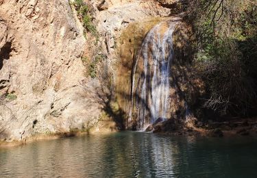 Tocht Stappen Barjols - barjols les carmes le petit bessillon  - Photo