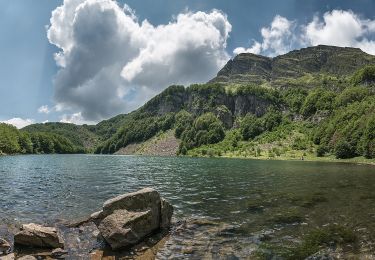 Tour Zu Fuß Barga - IT-20 - Photo