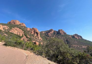 Tocht Elektrische fiets Saint-Raphaël - Le Dramont- Route de l’Esterel AR - Photo