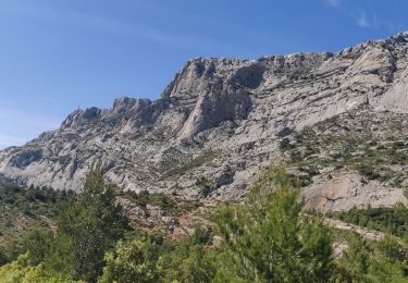 Tocht Stappen Saint-Antonin-sur-Bayon - 20220512 la Sainte Victoire - Photo