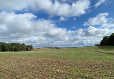 Tour Wandern Gerpinnes - Tournibus toujours  - Photo