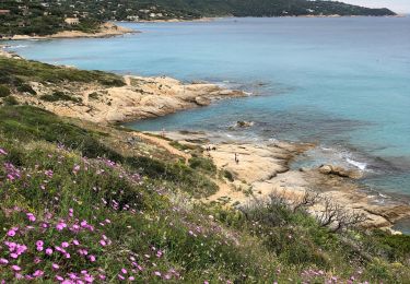 Tocht Stappen Ramatuelle - Sentier du littoral de l’escalet - Photo