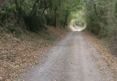 Trail Walking Germond-Rouvre - 2020-09-19  - Photo
