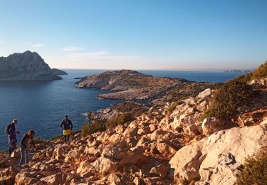 Trail Walking Marseille - Calelongue - Photo