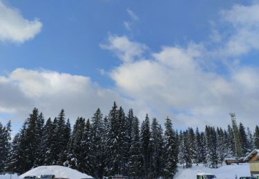 Randonnée Raquettes à neige Chapelle-des-Bois - chez Michel -rando raquettes  - Photo