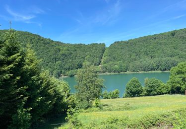 Trail Walking Stavelot - Coo - Photo