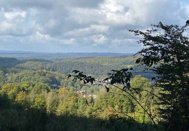 Tocht Stappen Rochefort - Jemelle - Photo