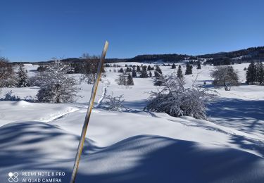 Randonnée Raquettes à neige La Pesse - L'Embossieux-La Croix des couloirs-La Pesse - Photo