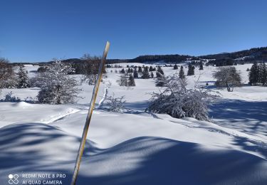 Trail Snowshoes La Pesse - L'Embossieux-La Croix des couloirs-La Pesse - Photo