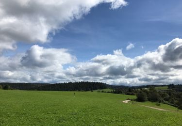 Trail Walking Vagney - Le Haut des Charmes , Tour des croix - Photo