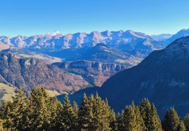 Tour Wandern Fillière - LES AUGES - Photo