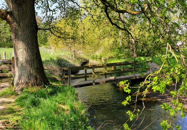 Tocht Stappen Huldenberg - Terlanen - Photo