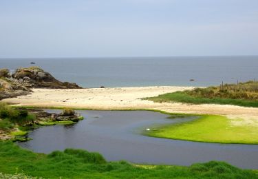 Tour Wandern Trégunc - Trévignon (Concarneau) - Photo