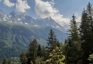 Randonnée Marche Chamonix-Mont-Blanc - Les Tines ,les Bois,les Mottets,Chamonix et retour par petit balcon sud - Photo