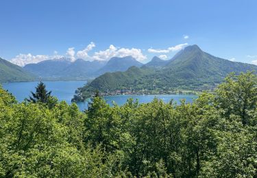 Tour Wandern Menthon-Saint-Bernard - Roc de Cher - Photo