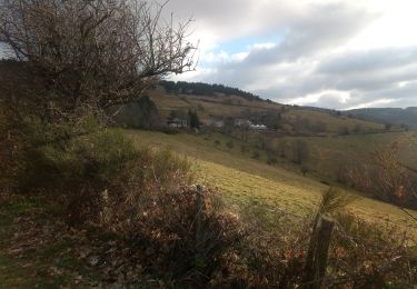 Tocht Stappen Saint-Étienne - Salvaris- La Barbanche-Charteloup - Photo