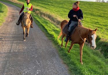 Tour Reiten Saint-Martin - Ar Reherey avec Vispa Tivio chez Marion satis  - Photo