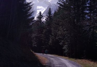 Tour Wandern Bagnères-de-Luchon - 2021-02-19 luchon campsaur - Photo