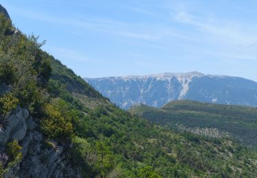 Tocht Stappen Le Poët-en-Percip - Banne & Bohémienne - Photo