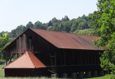 Tocht Te voet Bad Sulza - Weinwanderweg Bad Sulza - Photo