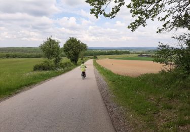 Excursión Bici eléctrica Wellin - Froidlieu-Ave-Lessive-Villers-Lavaux-Froidlieu - Photo