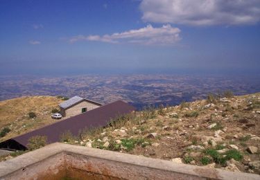 Tocht Te voet Castel del Monte - IT-254 - Photo