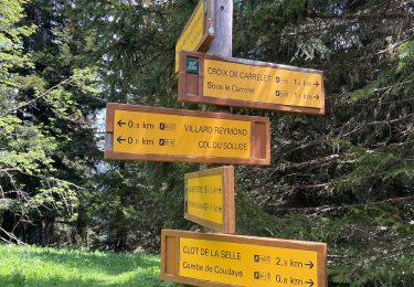 Trail Walking Villard-Reymond - La Croix de Carellet  - Photo