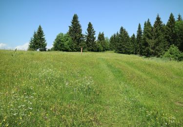 Tour Zu Fuß Semriach - Wanderweg 14 - Photo