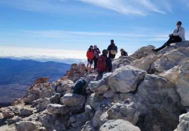 Tour Wandern La Orotava - Sommet du Teide - Photo