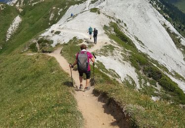 Tour Wandern Pralognan-la-Vanoise - Pralognan - la crête du mont Charvet - Photo