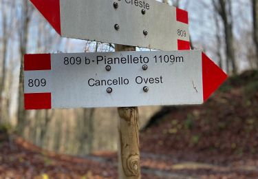 Trail On foot Valmozzola - Piano Dell'Arato - Bora del Baccarino - Monte Barigazzo - Percorso 803 - Piano Dell'Arato - Photo