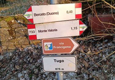 Excursión A pie Berceto - Il Tugo - Monte Valoria - Photo