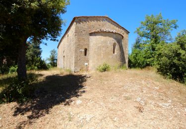 Trail On foot Asciano - IT-509a - Photo