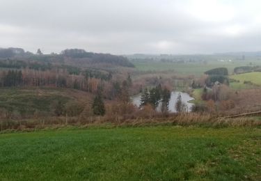 Percorso Corsa a piedi Vaux-sur-Sûre - Losange tour - Photo