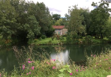 Tocht Andere activiteiten Coulon - Coulon train 05072021 - Photo