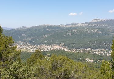 Trail Walking Le Castellet - Sainte Anne du Castellet - Photo