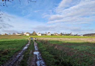 Trail Walking Limours - Essonne_RD_Limours=>Bois-Forges=>Chardonnet=>Golf(V2) - Photo