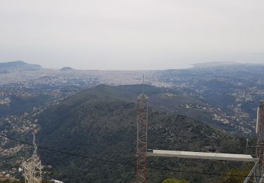 Randonnée Marche Aspremont - Mont Chauve - Photo