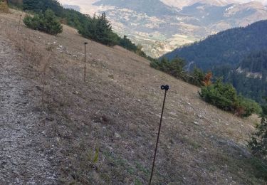 Tocht Stappen Lus-la-Croix-Haute - sarrier grimone col de lus - Photo