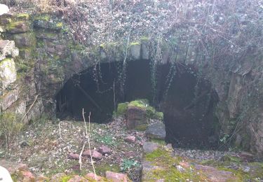 Excursión A pie Amorbach - Geo-Lehrpfad: Sandstein-Weg - Photo