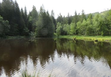 Tocht Stappen Xonrupt-Longemer - Lac de Lispach - Photo