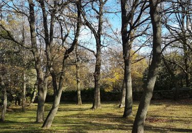 Tour Nordic Walking Octon - Octon - Château de Lauzières - Chapelle ND de Roubignac - Photo